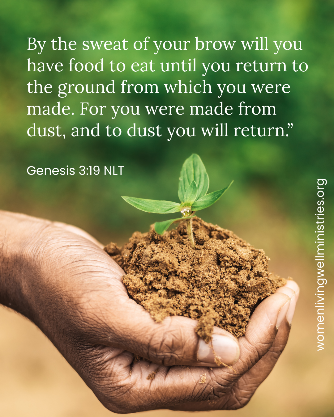 By the sweat of your brow will you have food to eat until you return to the ground from which you were made. For you were made from dust, and to dust you will return.” Genesis 3:19 NLT Devotional